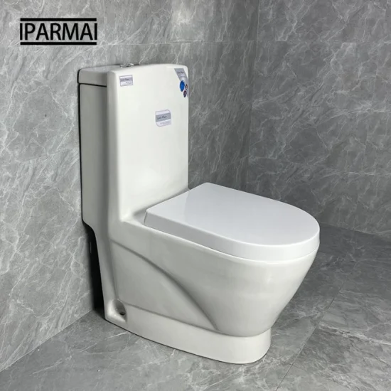 Round Shape S Trap 250mm Washdown One Piece Toilet Bowl Floor Mounted Bathroom Sanitary Toilet