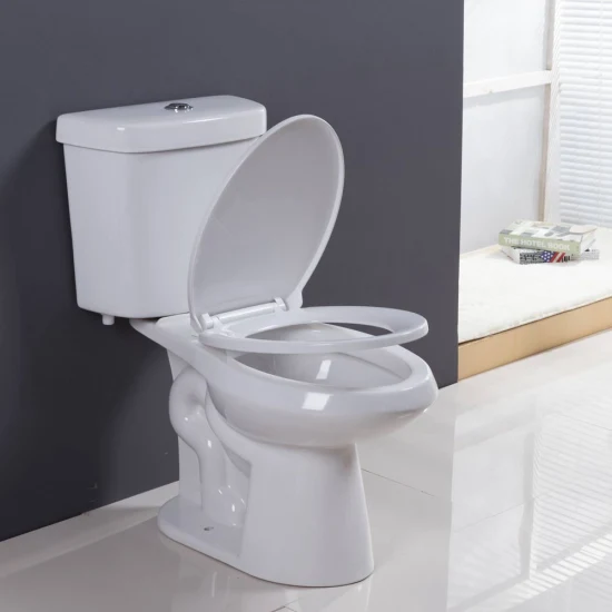 Ovs Cupc North America Modern Wc Sanitary Ware Square Shape Hang Toilets Bowl Bathroom Ceramic