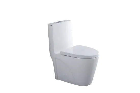 Ovs Cupc North America Bathroom Ceramic One Piece Wc Chinese Water Closet Prices Ideal Standard Commode Toilets